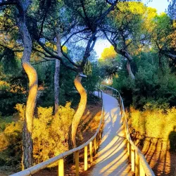 Playa de Punta Umbría - Huelva
