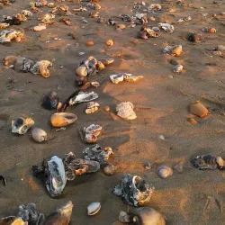 Playa de Punta Umbría - Huelva