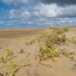 Playa de Punta Umbría - Huelva