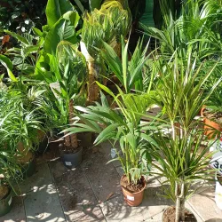 Plaza de las Monjas - Huelva