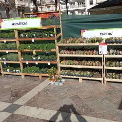 Plaza de las Monjas - Huelva
