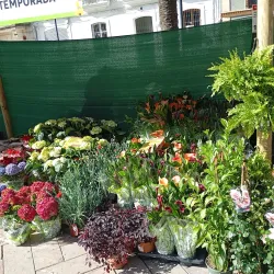 Plaza de las Monjas - Huelva