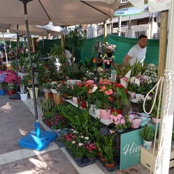 Plaza de las Monjas - Huelva