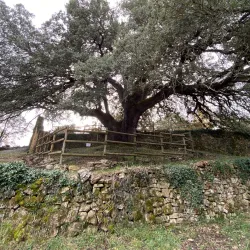 Parque Natural de la Sierra y los Cañones de Guara - Huesca