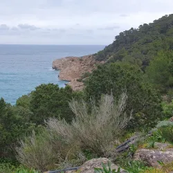 Cova de Can Marçà - Ibiza