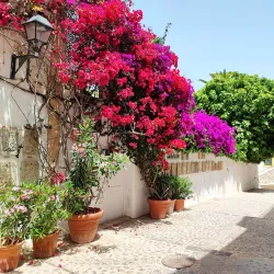 Dalt Vila (Old Town) - Ibiza