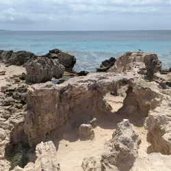 Las Salinas Beach - Ibiza