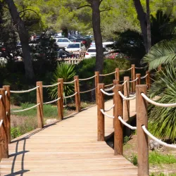 Las Salinas Beach - Ibiza