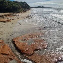 Ses Salines Natural Park - Ibiza
