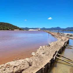 Ses Salines Natural Park - Ibiza