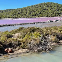 Ses Salines Natural Park - Ibiza