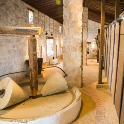Olive Oil Museum (Museo del Aceite de Oliva) - Jaen