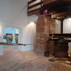 Olive Oil Museum (Museo del Aceite de Oliva) - Jaen