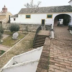 Olive Oil Museum (Museo del Aceite de Oliva) - Jaen