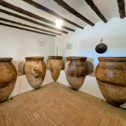Olive Oil Museum (Museo del Aceite de Oliva) - Jaen