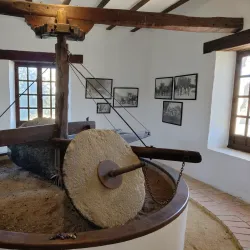 Olive Oil Museum (Museo del Aceite de Oliva) - Jaen