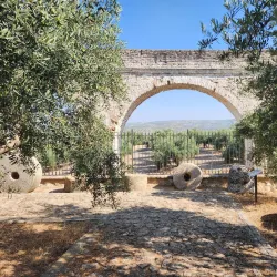 Olive Oil Museum (Museo del Aceite de Oliva) - Jaen