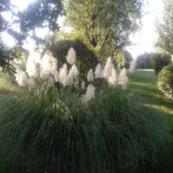 Parque del Seminario - Jaen