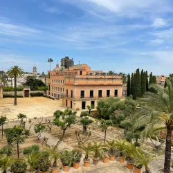 Alcázar of Jerez de la Frontera - Jerez de la Frontera