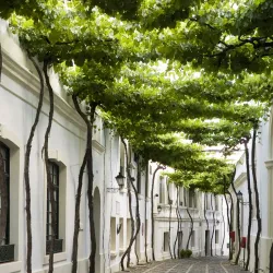 Bodegas Tio Pepe - Jerez de la Frontera