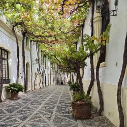 Bodegas Tio Pepe - Jerez de la Frontera