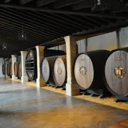 Bodegas Tio Pepe - Jerez de la Frontera