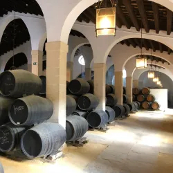 Bodegas Tio Pepe - Jerez de la Frontera