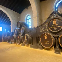 Bodegas Tio Pepe - Jerez de la Frontera