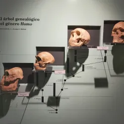 Museo Arqueológico Municipal de Jerez - Jerez de la Frontera