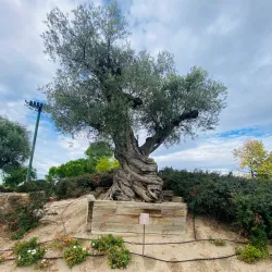 Golf Santander - La Moraleja
