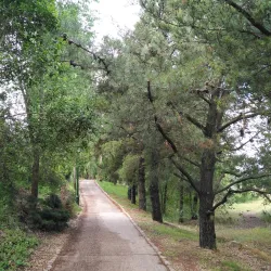 Parque de La Moraleja - La Moraleja