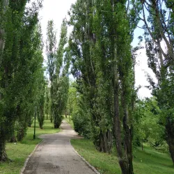 Parque de La Moraleja - La Moraleja