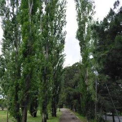 Parque de La Moraleja - La Moraleja
