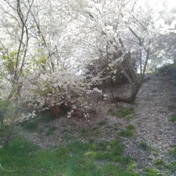 Parque de La Moraleja - La Moraleja