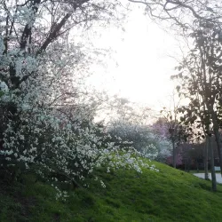 Parque de La Moraleja - La Moraleja