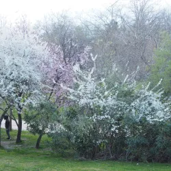 Parque de La Moraleja - La Moraleja