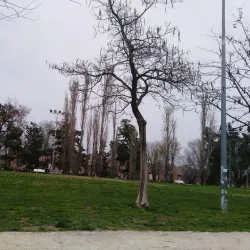 Parque de La Moraleja - La Moraleja