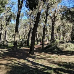 Parque de Valdelatas - La Moraleja