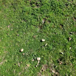 Parque de Valdelatas - La Moraleja