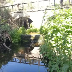 Parque de Valdelatas - La Moraleja