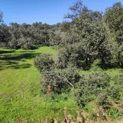 Parque de Valdelatas - La Moraleja