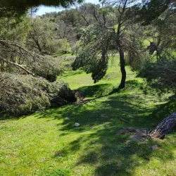 Parque de Valdelatas - La Moraleja