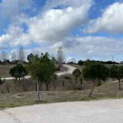 Parque de Valdelatas - La Moraleja