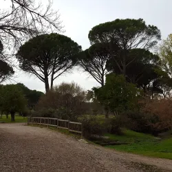 Parque de Valdelatas - La Moraleja