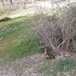 Parque de Valdelatas - La Moraleja