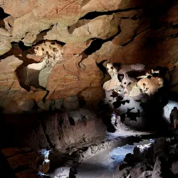 Cueva de San José - La Vall d'Uixó