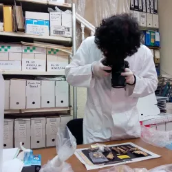 Museo Arqueológico de la Vall d'Uixó - La Vall d'Uixó