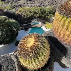 Fundación César Manrique - Lanzarote