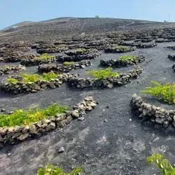 La Geria - Lanzarote