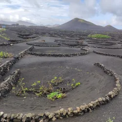 La Geria - Lanzarote